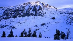 Snow California national park