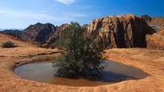 Snow canyon Utah Parks