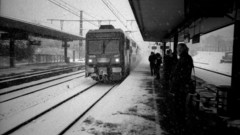 Snow cityscapes grayscale