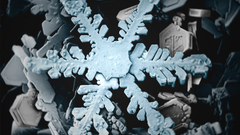 Snow crystals abstract wide