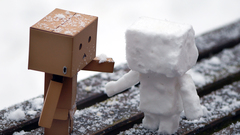 Snow danboard