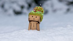 Snow danboard amazon