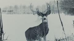 Snow deer album covers