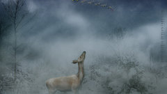 Snow deer santa claus