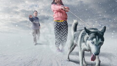 snow dog children Animals Men winter tongue out Mammals tongues