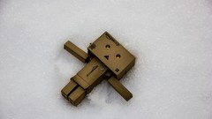 Snow eyes light danboard