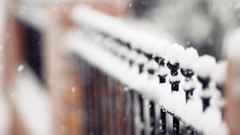Snow fences depth of field