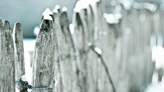 Snow fences depth of field