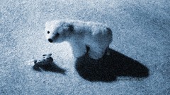 Snow fish Polar Bears