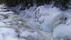Snow forest Frozen river