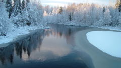 Snow forests snow landscapes