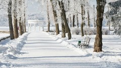 Snow forests snowy road