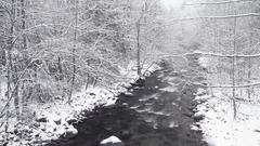 Snow forests streams winter