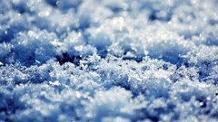 snow frost macro nature winter cold outdoors