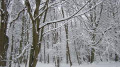 Snow high Resolution