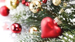 Snow Holidays Christmas close-up christmas tree Christmas 