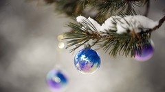 Snow Holidays Christmas pine trees Christmas ornament evergreens