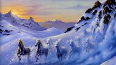 Snow Horses running through walls real galloping