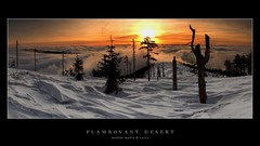 Snow ice light deserts