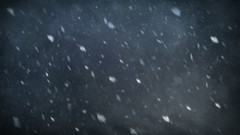 Snow innocent grey novel game cg Kara no Shoujo visual