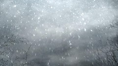 Snow innocent grey novel game cg Kara no Shoujo visual