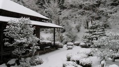 Snow Japan Garden Asia