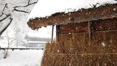Snow Japan houses