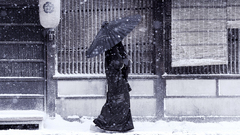 Snow Japanese Umbrellas