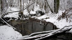 Snow landscapes Bulgaria