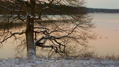 Snow landscapes Landscapes nature