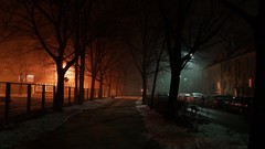 Snow landscapes night landscapes