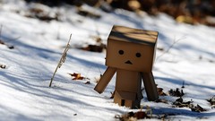 Snow leaves danboard