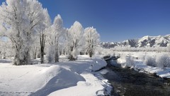 Snow light morning Wyoming national park grand teton national 