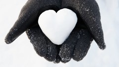 Snow love hands Hearts
