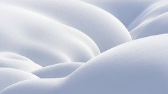 Snow macintosh apple inc