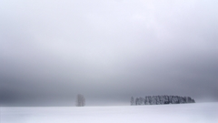 Snow minimalistic Trees