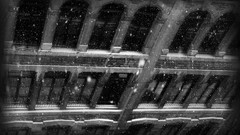 Snow monochrome buildings monocle