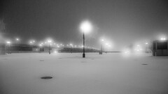 snow monochrome winter night lights