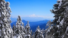Snow Mountains distance fir fir-tree forests snow landscapes