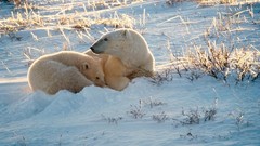 Snow national geographic