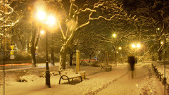 Snow night