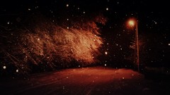 Snow night monochrome lanterns