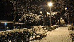 Snow night Parks