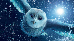 Snow Owls Legend Of