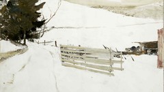 Snow paintings Christmas trees