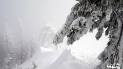 Snow peaks winter forest