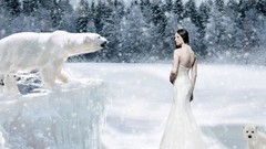 Snow Polar Bears fantasy art