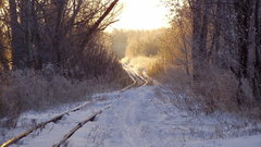 Snow railroad tracks