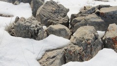 Snow rocks