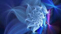 Snow room abstract bloom